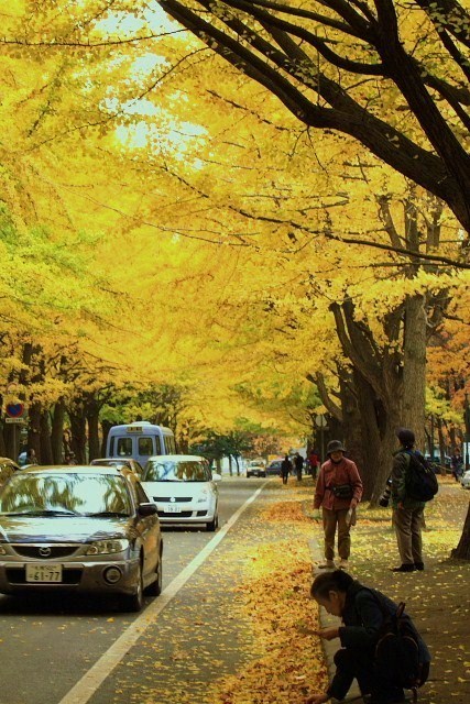 f:id:kitanodaichiphoto1:20091101004332j:image f:id:kitanodaichiphoto1:20091101004332j:image