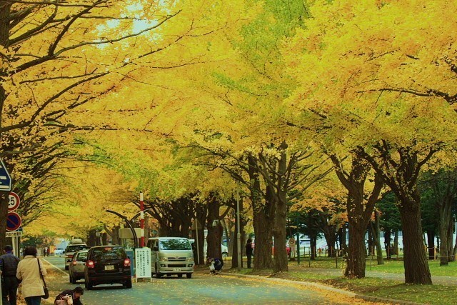 f:id:kitanodaichiphoto1:20091101004503j:image f:id:kitanodaichiphoto1:20091101004503j:image