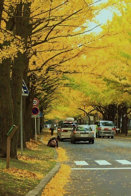 f:id:kitanodaichiphoto1:20091101004504j:image f:id:kitanodaichiphoto1:20091101004504j:image