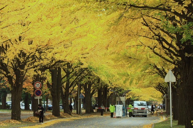 f:id:kitanodaichiphoto1:20091101004505j:image f:id:kitanodaichiphoto1:20091101004505j:image