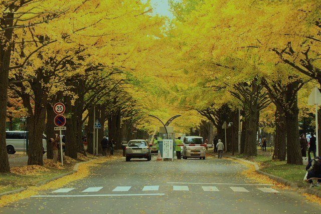 f:id:kitanodaichiphoto1:20091101004507j:image f:id:kitanodaichiphoto1:20091101004507j:image