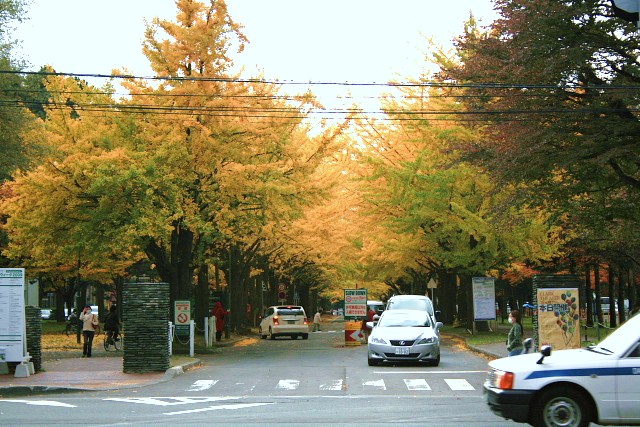 f:id:kitanodaichiphoto1:20091101004620j:image f:id:kitanodaichiphoto1:20091101004620j:image