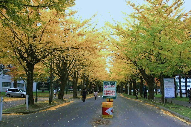 f:id:kitanodaichiphoto1:20091101030346j:image f:id:kitanodaichiphoto1:20091101030346j:image