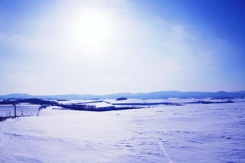 f:id:kitanodaichiphoto1:20100303220227j:image f:id:kitanodaichiphoto1:20100303220227j:image
