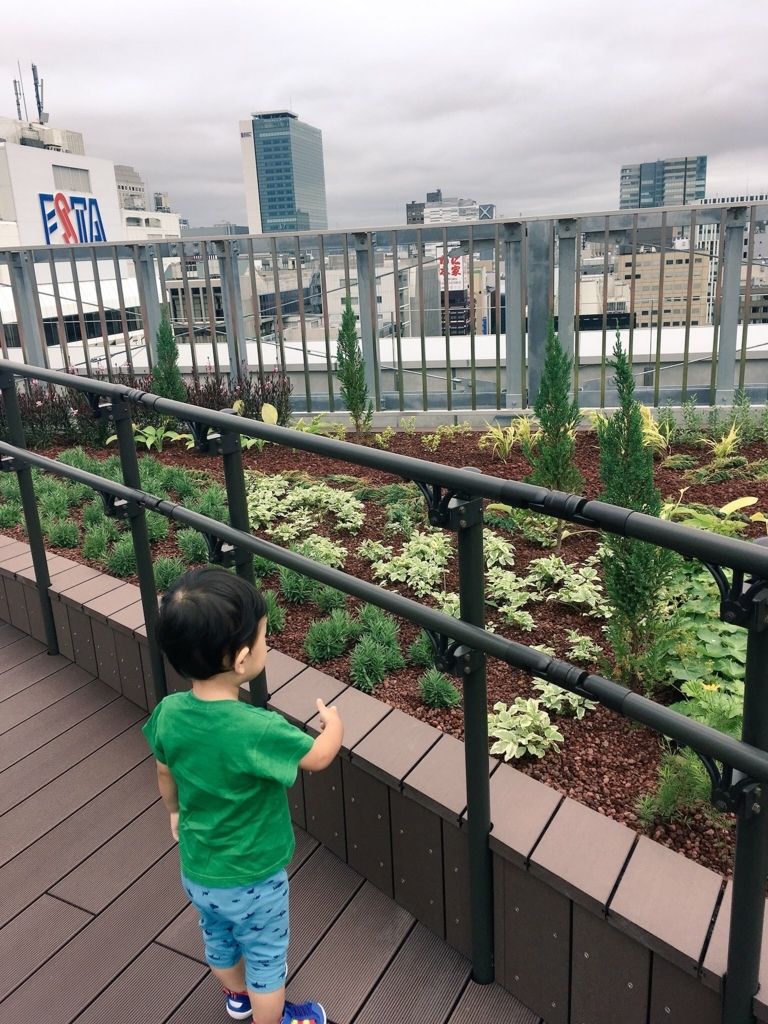 f:id:kitanoikuraya:20180716225857j:plain