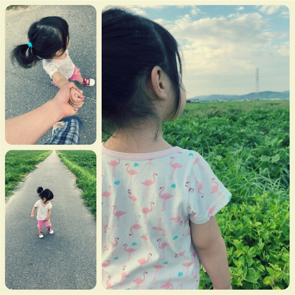 f:id:kitanokeigo:20180901085432j:image f:id:kitanokeigo:20180901085432j:image