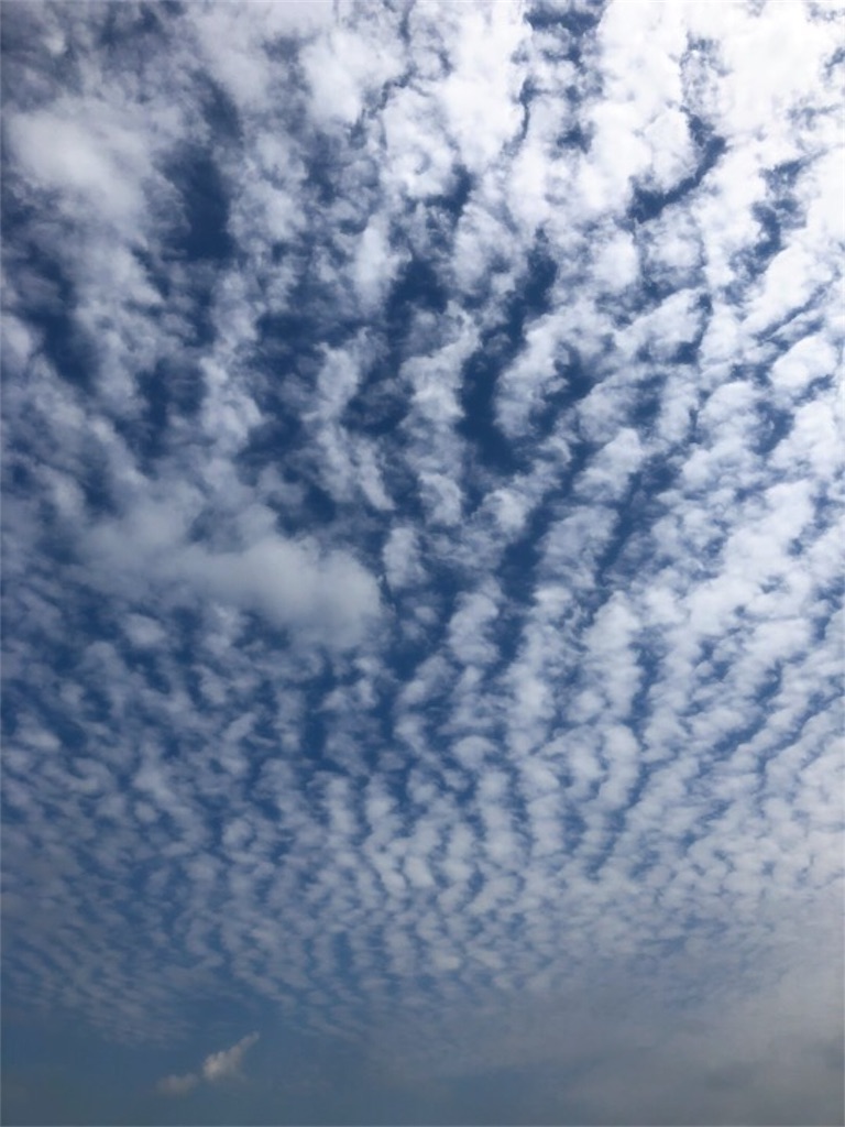 f:id:kitanokeigo:20180923210140j:image f:id:kitanokeigo:20180923210140j:image