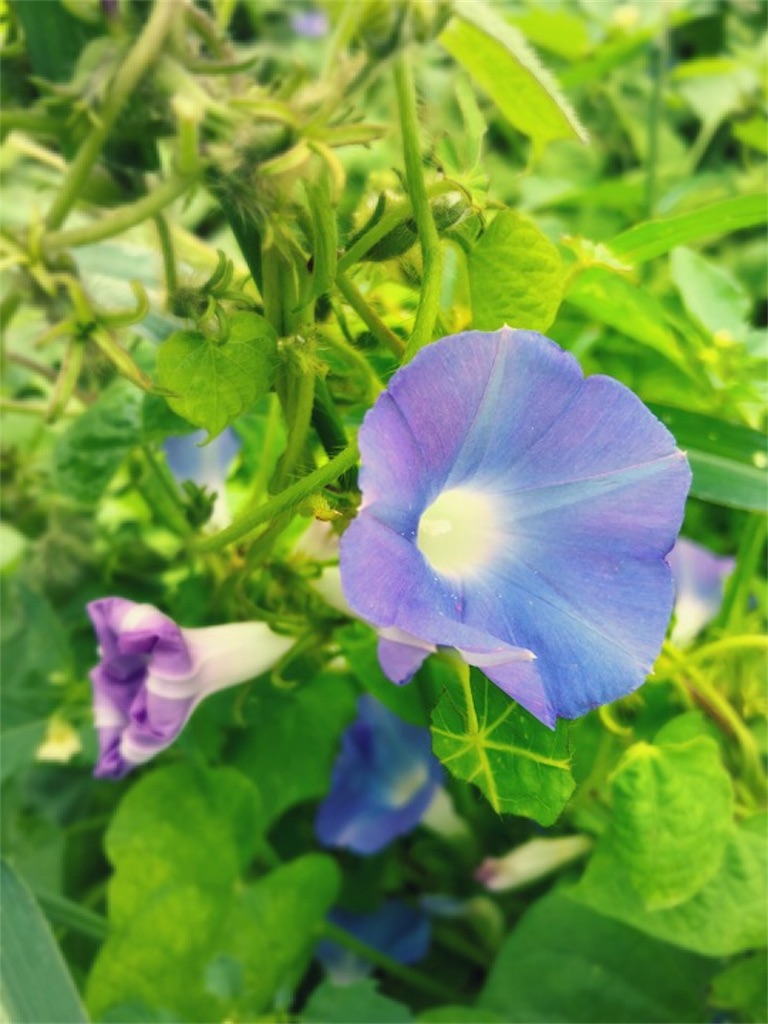 f:id:kitanokeigo:20180923210232j:image f:id:kitanokeigo:20180923210232j:image