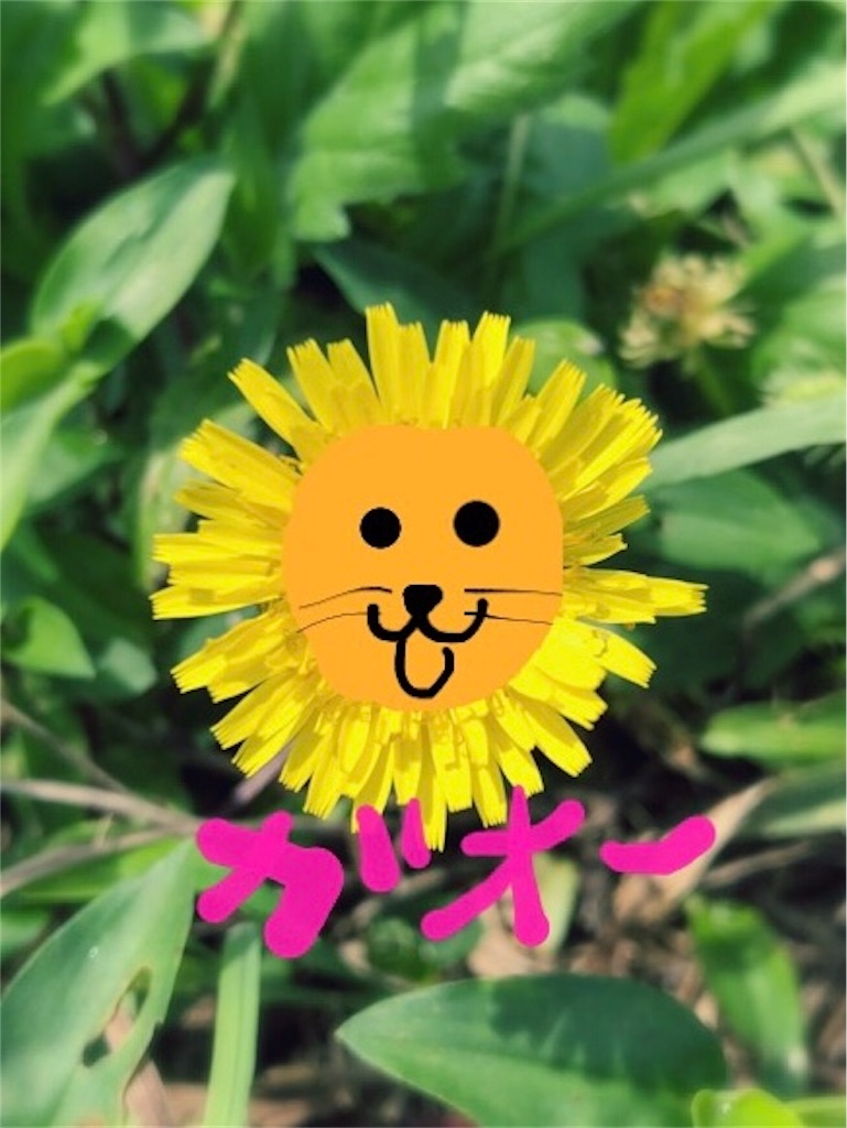 f:id:kitanokeigo:20180923230122j:image f:id:kitanokeigo:20180923230122j:image