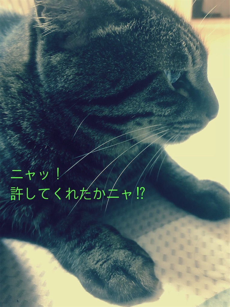 f:id:kitanokeigo:20181119121145j:image