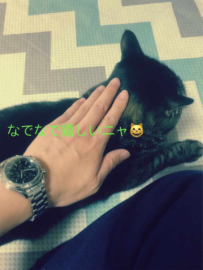 f:id:kitanokeigo:20181119121220j:image