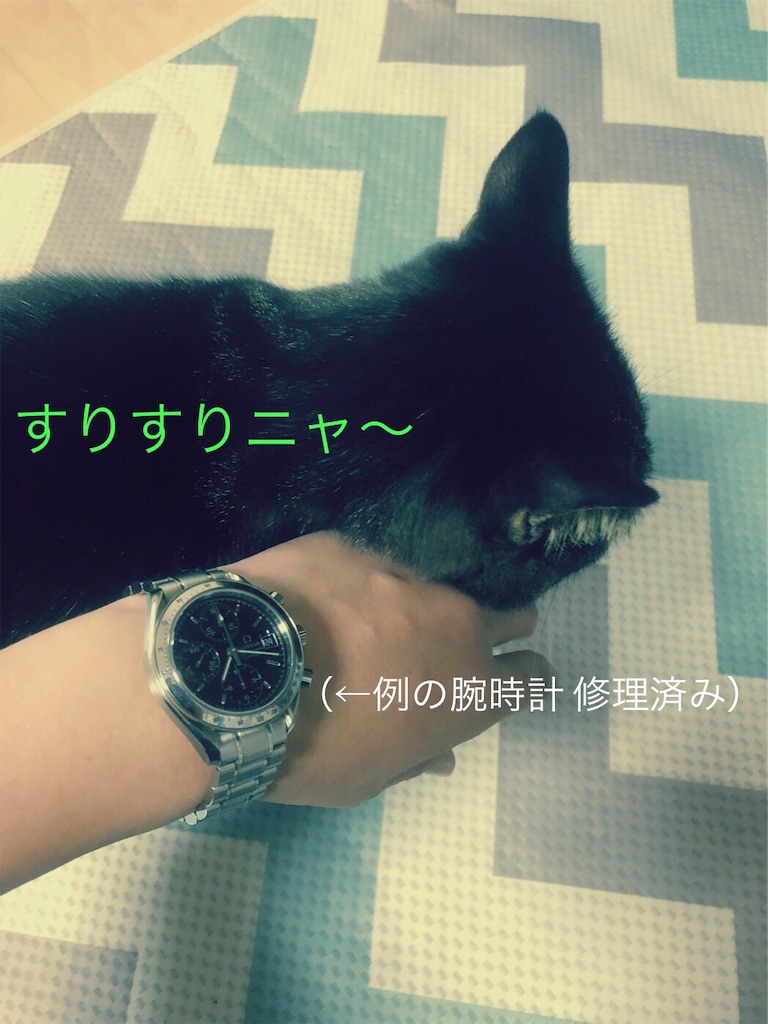 f:id:kitanokeigo:20181119190109j:image