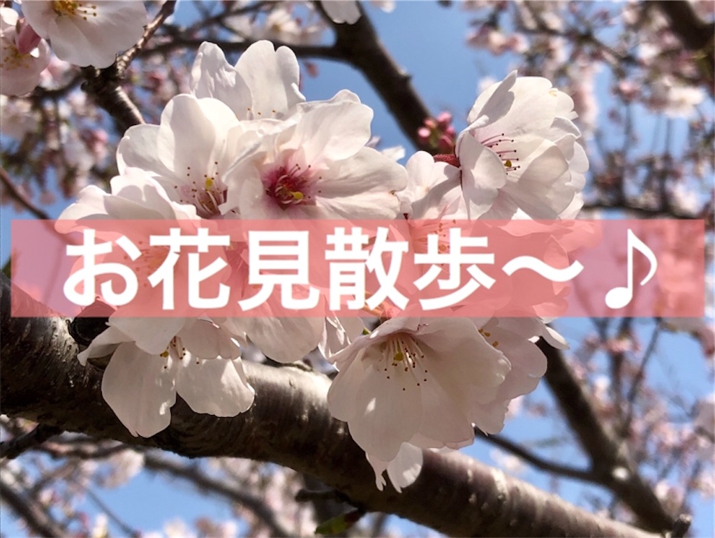 f:id:kitanokeigo:20190416013415j:image