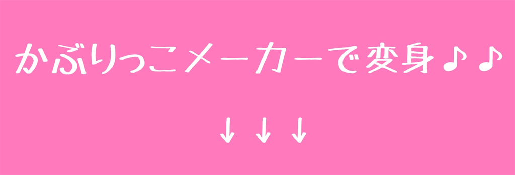 f:id:kitanokeigo:20190527115903p:image
