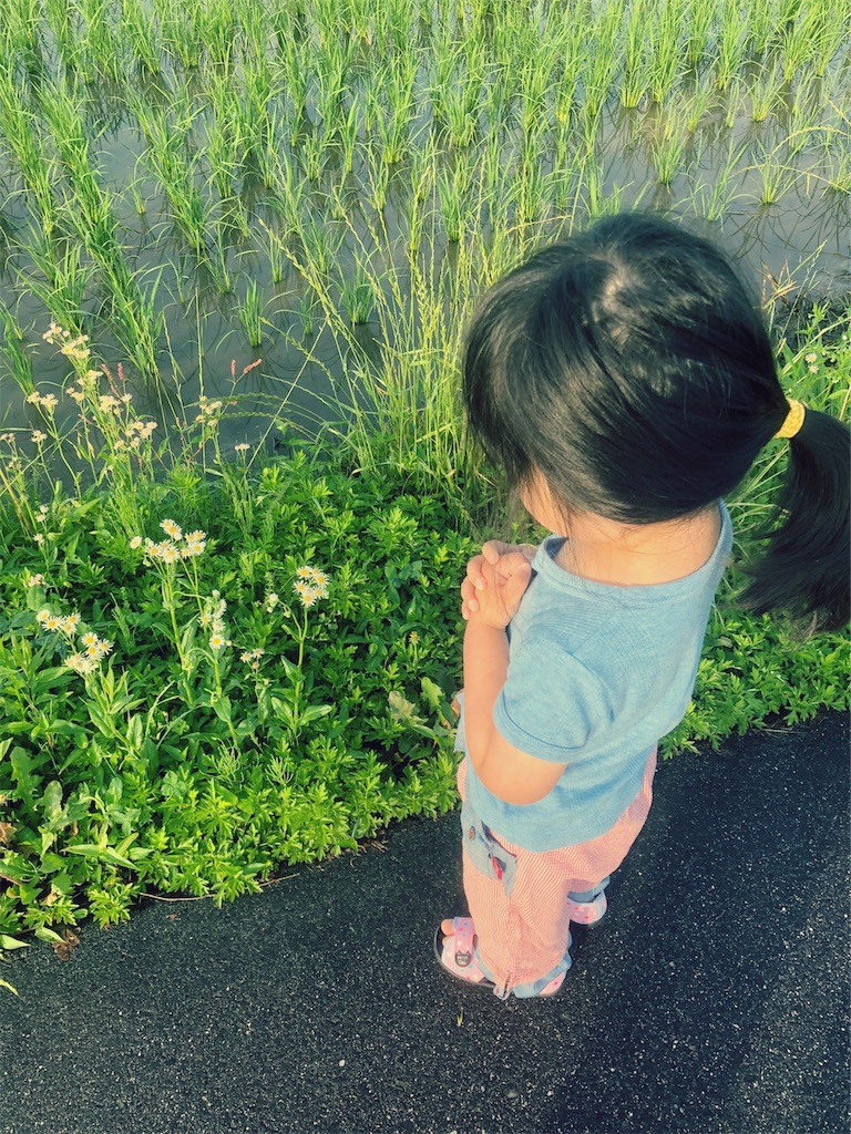 f:id:kitanokeigo:20190615093211j:image