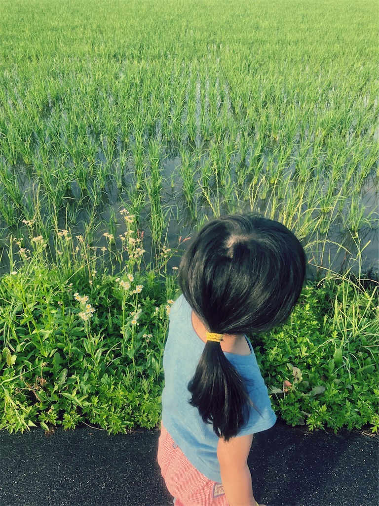f:id:kitanokeigo:20190615093221j:image