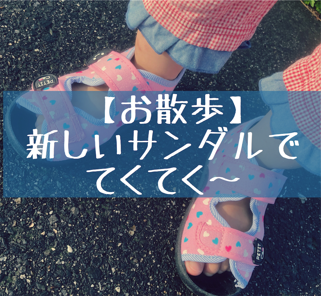 f:id:kitanokeigo:20190616111803p:image