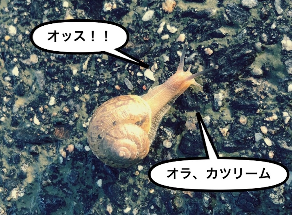 f:id:kitanokeigo:20190626212434j:image
