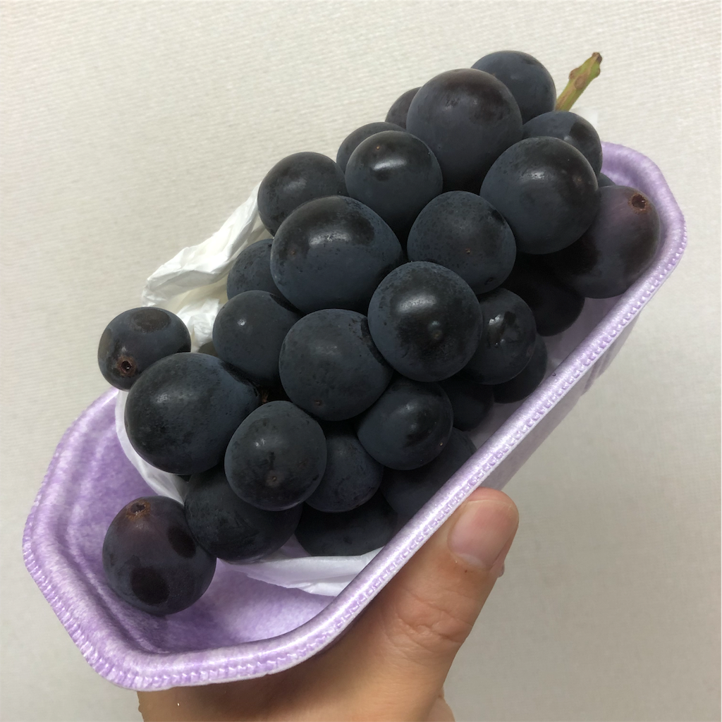 f:id:kitanokeigo:20190915095050p:image