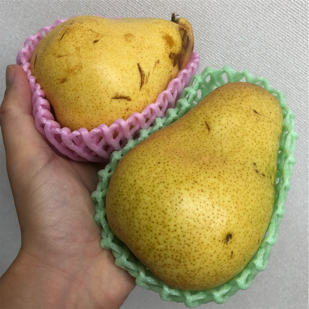f:id:kitanokeigo:20190915095103p:image