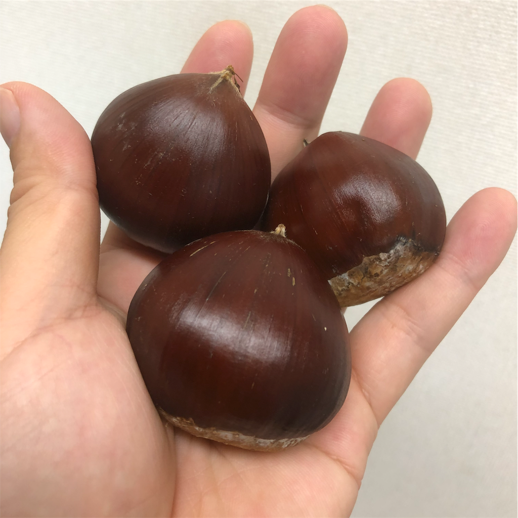 f:id:kitanokeigo:20190915095114p:image