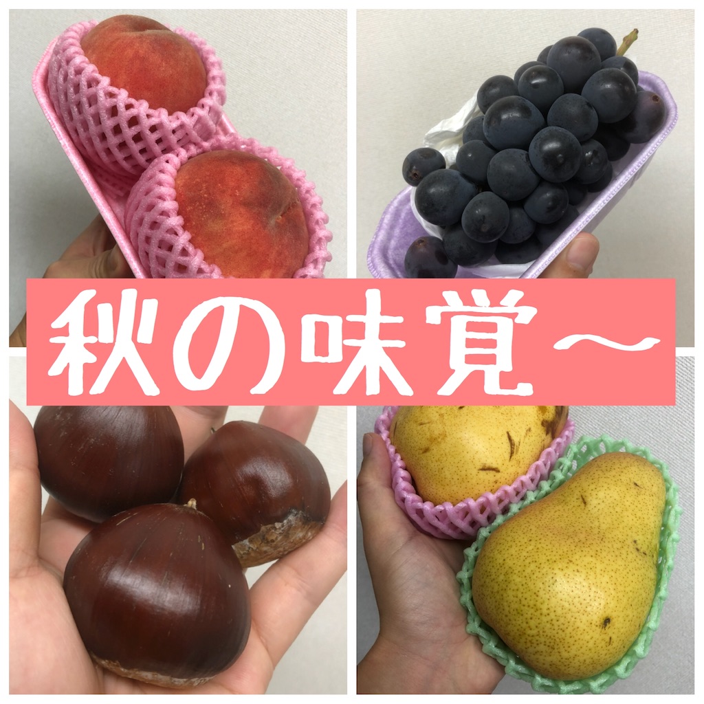 f:id:kitanokeigo:20190915123709j:image
