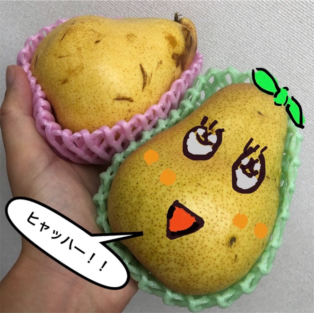 f:id:kitanokeigo:20190915200605j:image