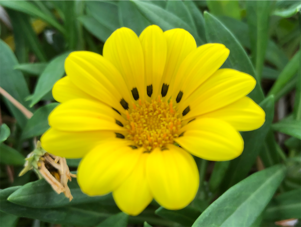 f:id:kitanokeigo:20191007221637p:image f:id:kitanokeigo:20191007221637p:image