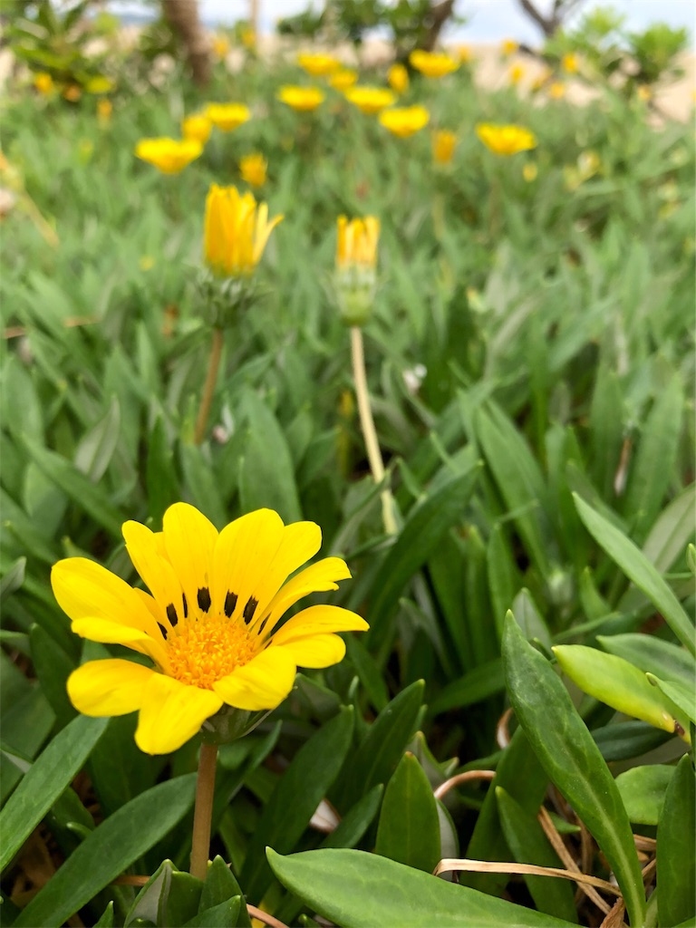 f:id:kitanokeigo:20191007221723j:image f:id:kitanokeigo:20191007221723j:image
