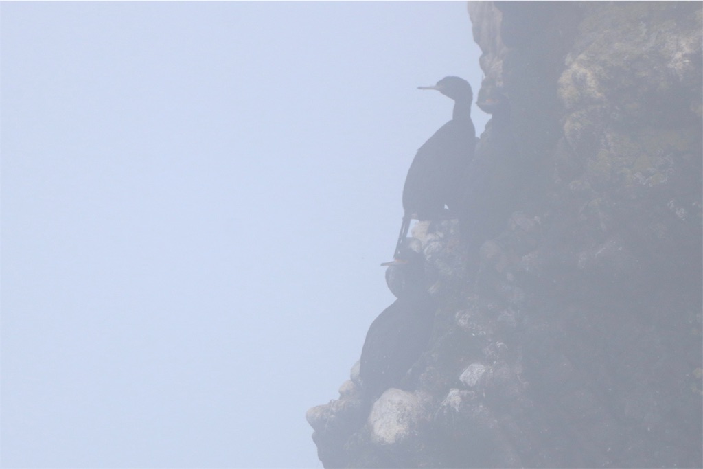 f:id:kitanominami:20190725205147j:image