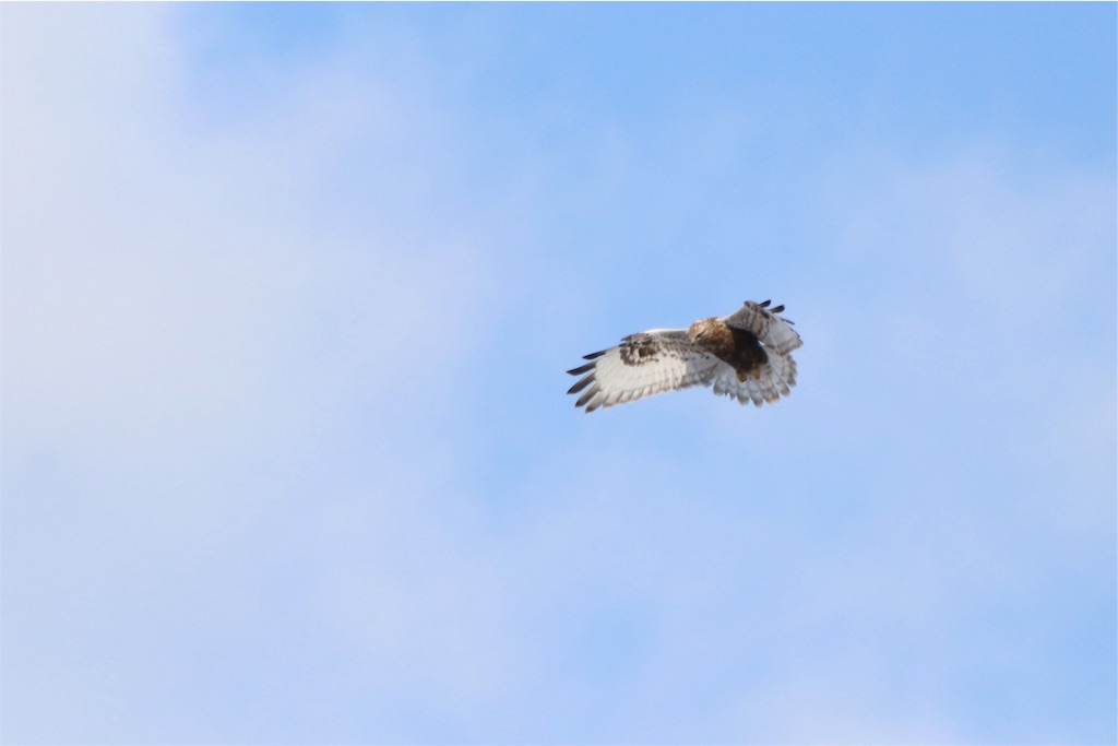 f:id:kitanominami:20200103082716j:image