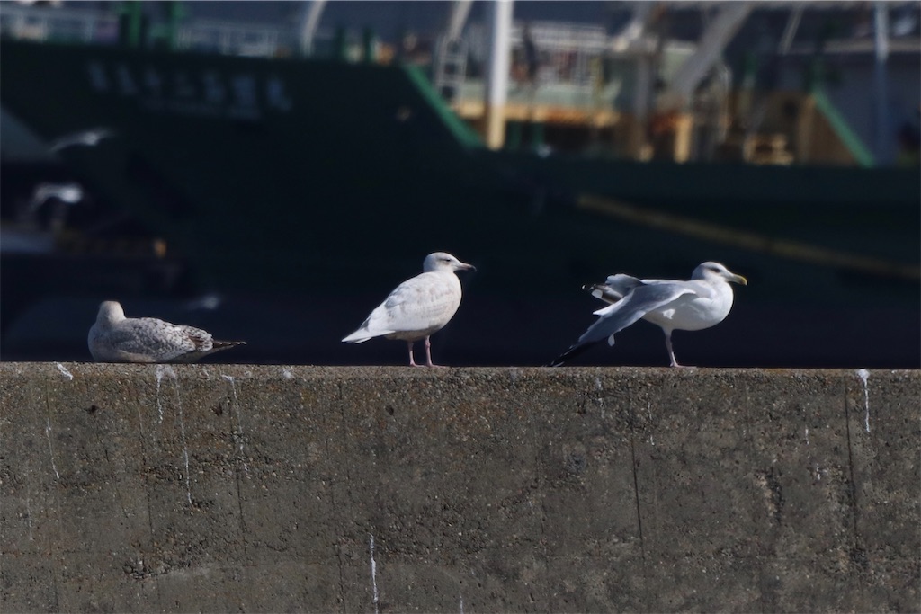 f:id:kitanominami:20200925221846j:image
