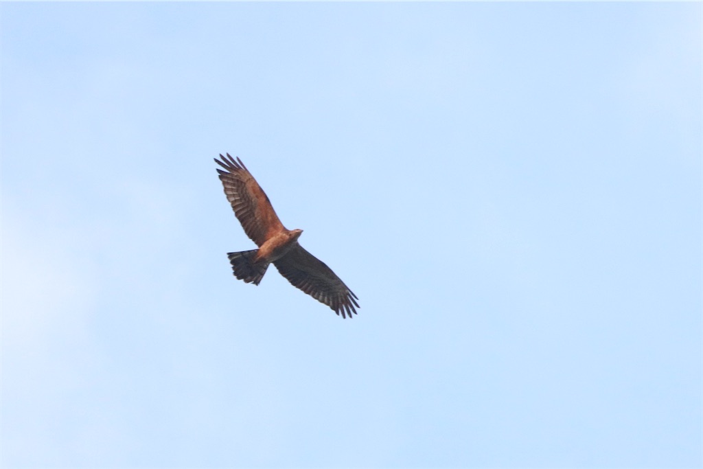 f:id:kitanominami:20200926200641j:image f:id:kitanominami:20200926200641j:image