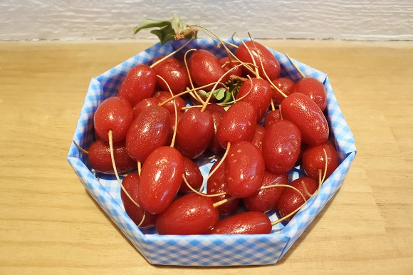 f:id:kitarannkahiyo:20160714053820j:plain f:id:kitarannkahiyo:20160714053820j:plain