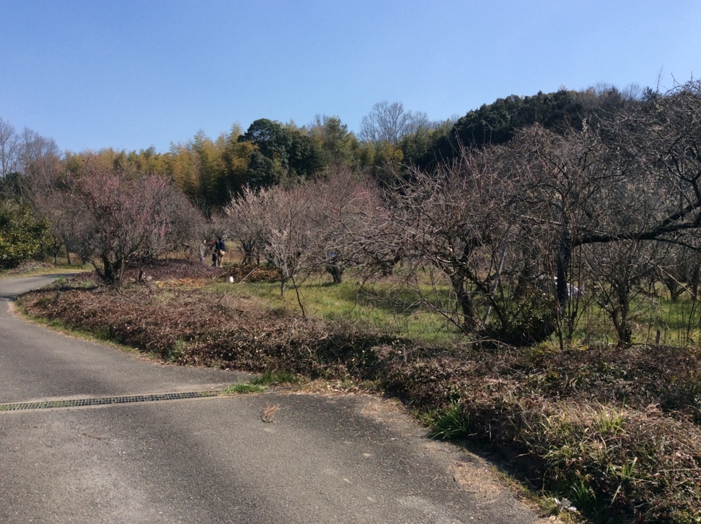 f:id:kitaro-teturo:20170226191016j:plain f:id:kitaro-teturo:20170226191016j:plain