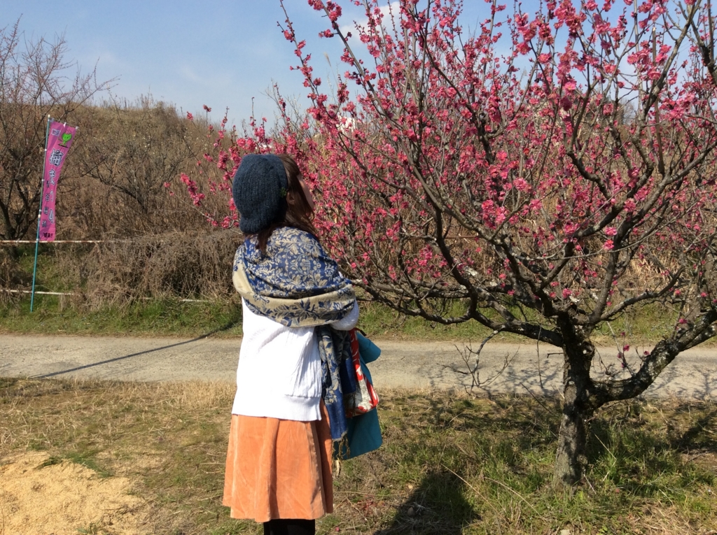 f:id:kitaro-teturo:20170226191539j:plain f:id:kitaro-teturo:20170226191539j:plain