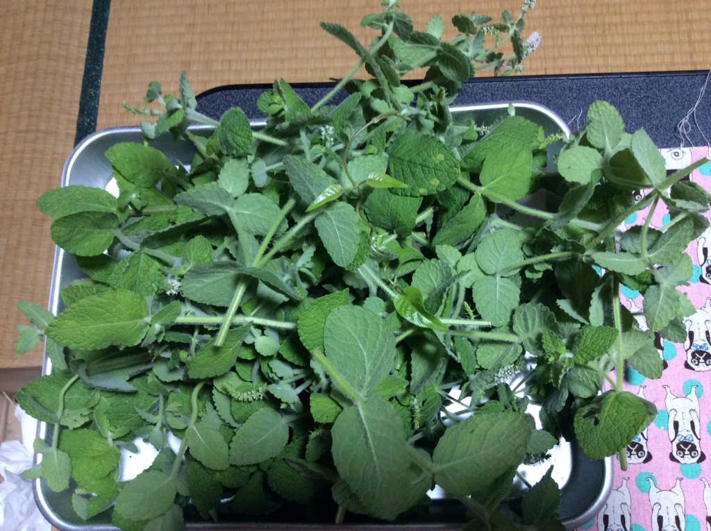 f:id:kitaro-teturo:20170722201048j:plain f:id:kitaro-teturo:20170722201048j:plain