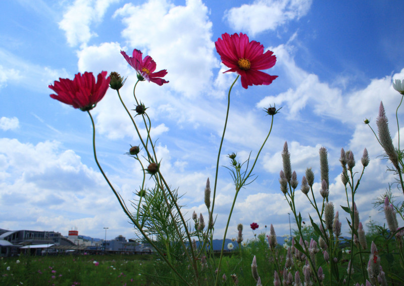 f:id:kitashige:20090921123103j:image:w400