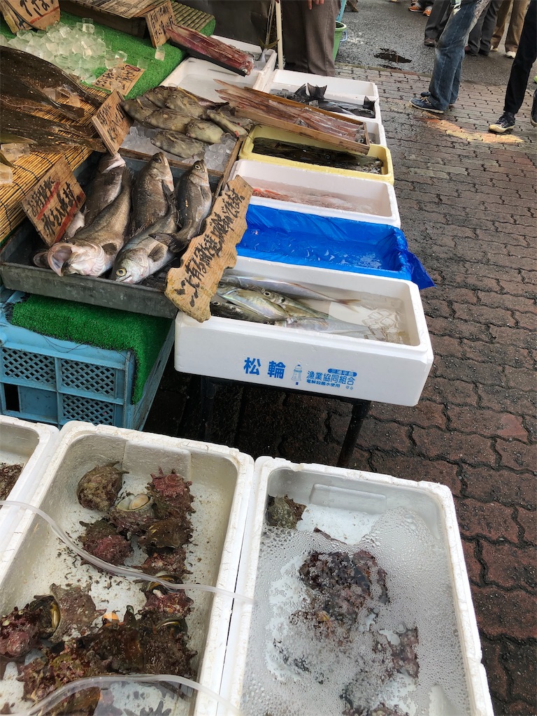 f:id:kitataku11260207:20190227213902j:image