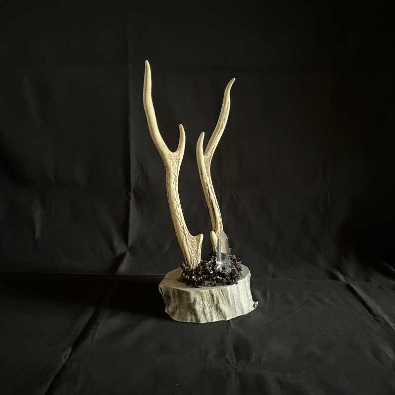 鹿の角でオブジェを作った - きたていっくのいつでも休憩中。その3