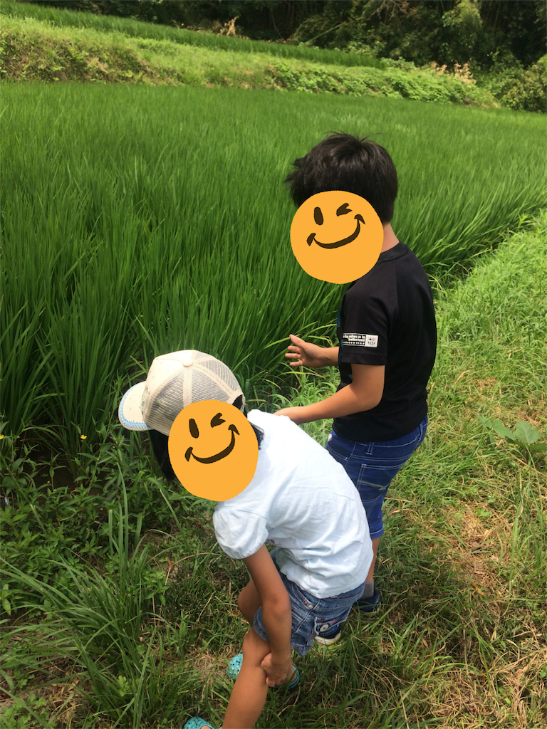 f:id:kitatomirai:20180820173750p:image f:id:kitatomirai:20180820173750p:image