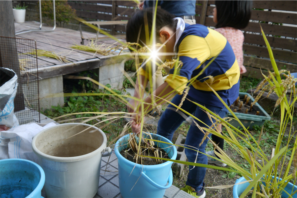 f:id:kitatomirai:20181019162949p:image