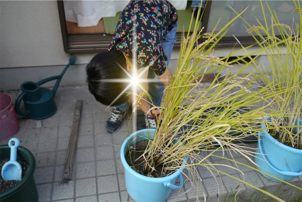 f:id:kitatomirai:20181019162955p:image