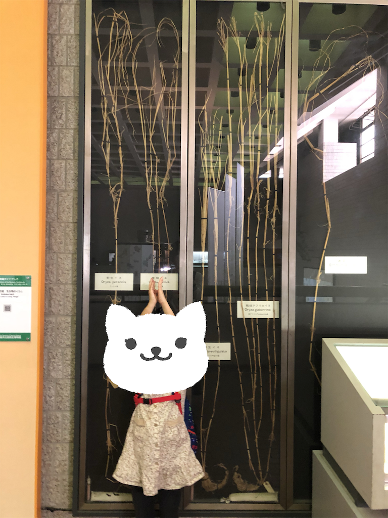 f:id:kitatomirai:20181118152020p:image f:id:kitatomirai:20181118152020p:image