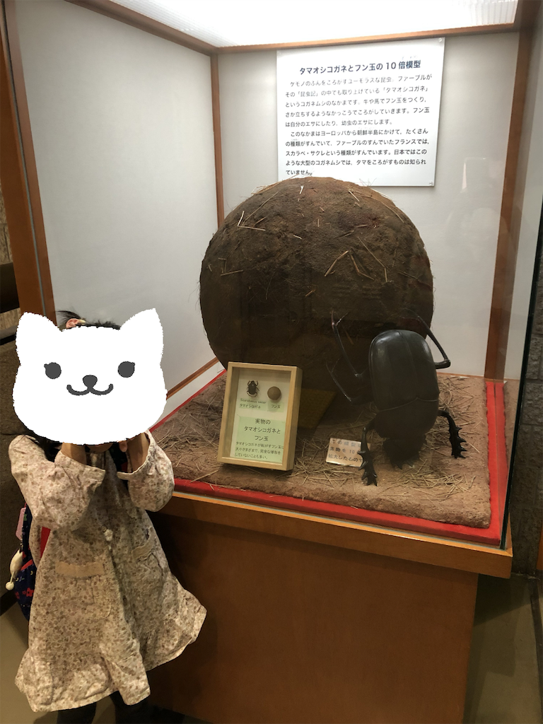 f:id:kitatomirai:20181118152307p:image f:id:kitatomirai:20181118152307p:image