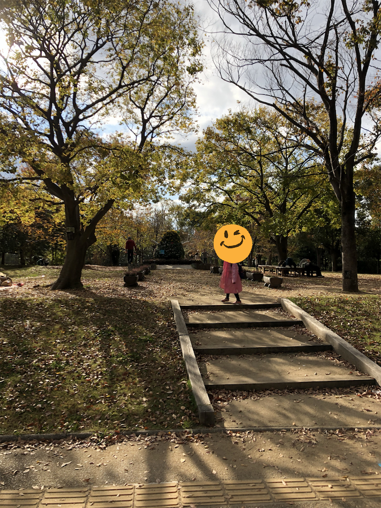 f:id:kitatomirai:20181118153227p:image f:id:kitatomirai:20181118153227p:image
