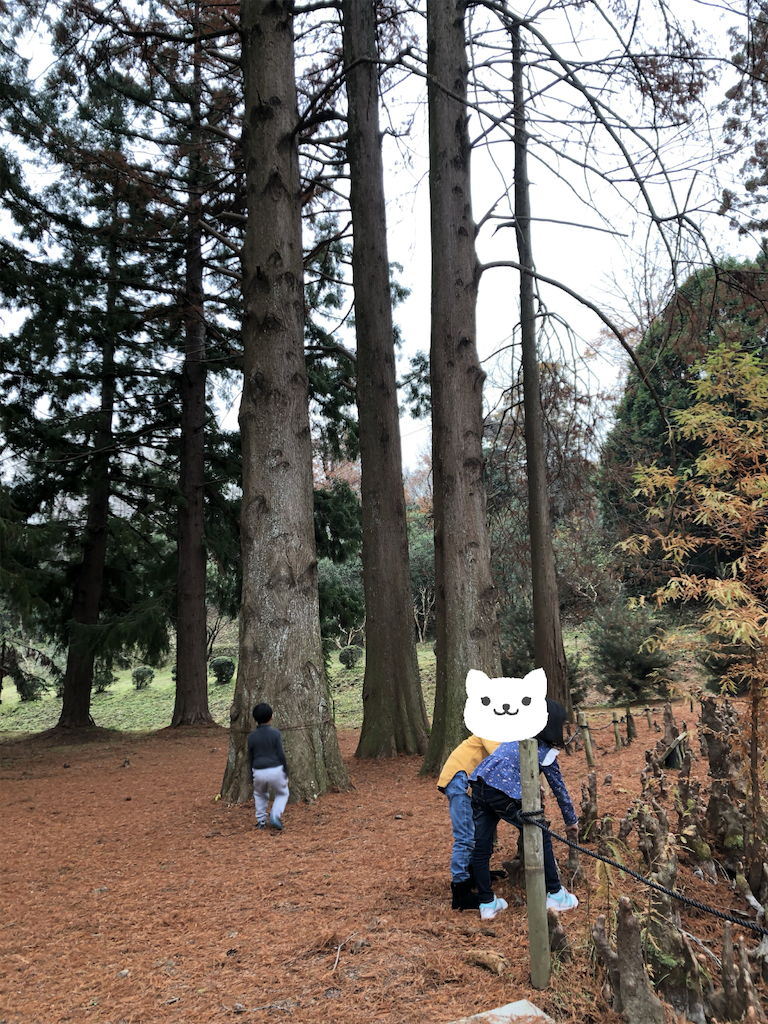 f:id:kitatomirai:20181227145038p:image