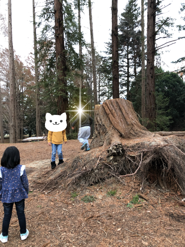 f:id:kitatomirai:20181227145155p:image f:id:kitatomirai:20181227145155p:image