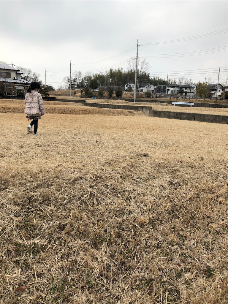 f:id:kitatomirai:20190207172839j:image