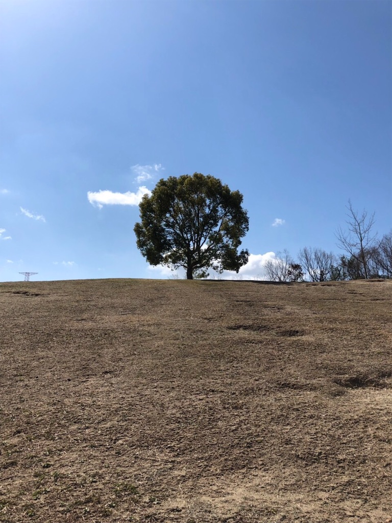 f:id:kitatomirai:20190318110311j:image f:id:kitatomirai:20190318110311j:image